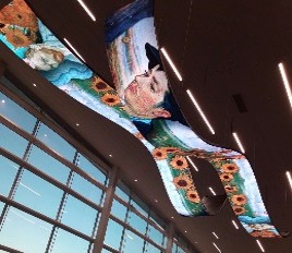 海外曲面LED事例